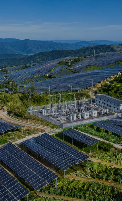 Projet de production d'&eacute;nergie photovolta&iuml;que compl&eacute;mentaire agricole-solaire de 100&nbsp;MW